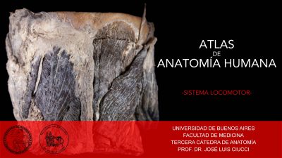 Atlas UBA Cátedra 3 Locomot