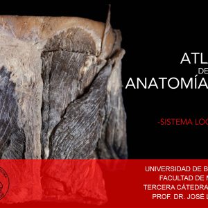 Atlas UBA Cátedra 3 - Locomotor