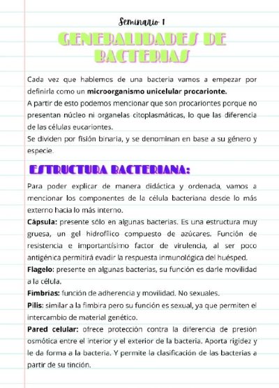 Apunte Resumiendo Micro 1 Cat 2