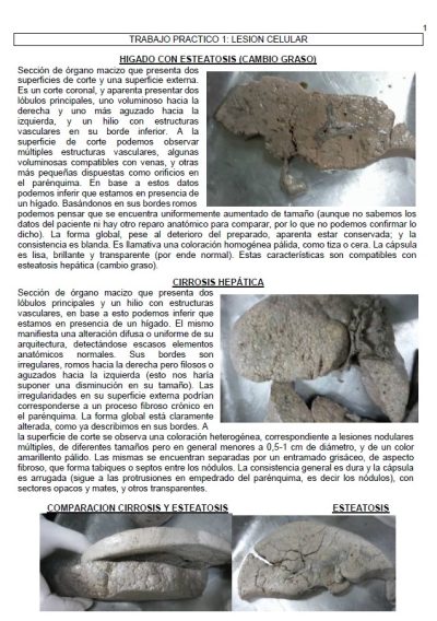 Atlas Patología