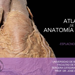 Atlas UBA Cátedra 3 - Esplacnología