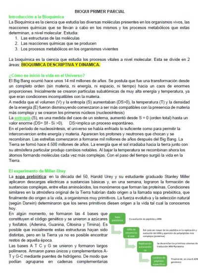 Cat 2 Transcriptos parciales