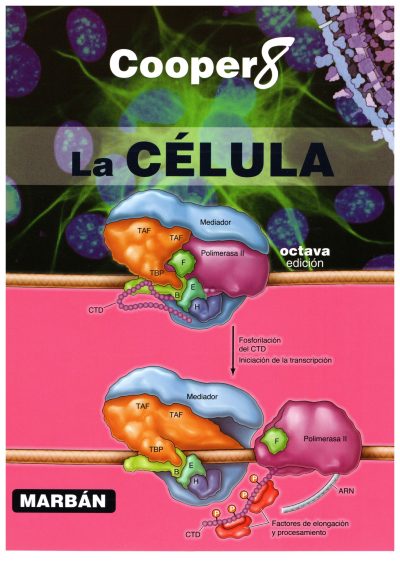 Portada de Cooper 8° Edición - copia anillada impresa a color en hoja A4