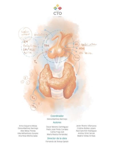 Endocrinología