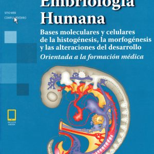 Flores + Síntesis