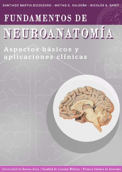 Fundamentos Neuro CAT 1