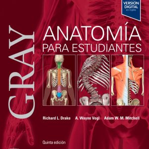 Gray Estudiantes 5° Edición