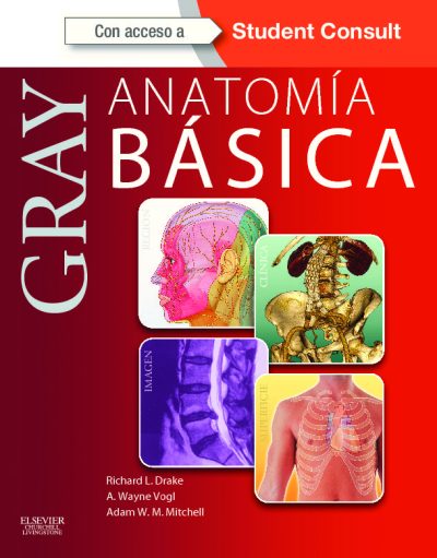 Gray Anatomía básica