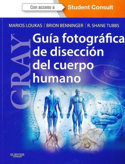 Gray Disección