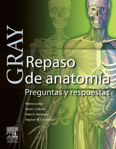 Gray Repaso Anato