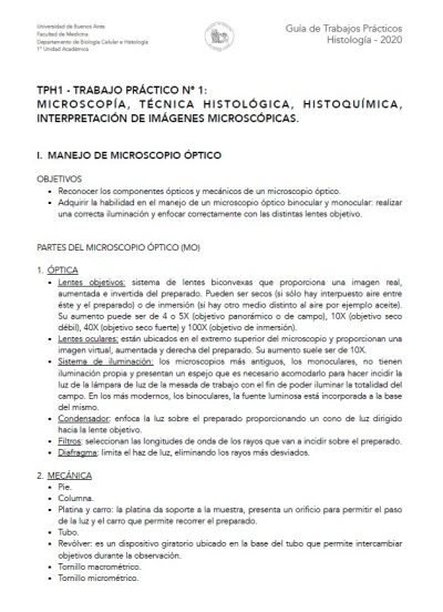 Guías de TP Cát. Única 2025