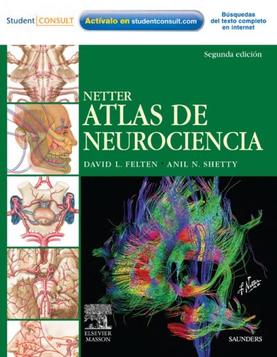 Netter Neurociencia 2° Ed