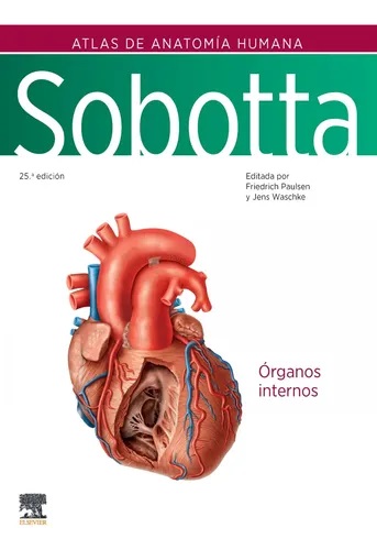 Sobotta 25° Ed Órganos internos