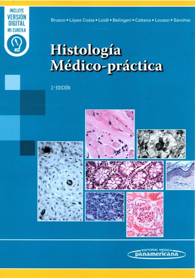 Portada de Brusco 2° Edición - copia anillada impresa a color en hoja A4
