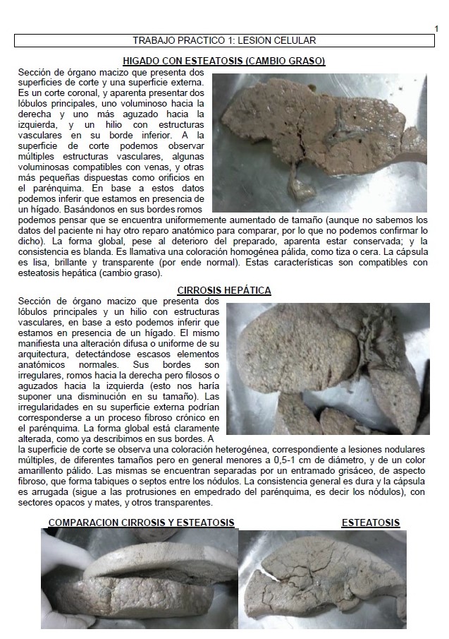 Atlas Patología