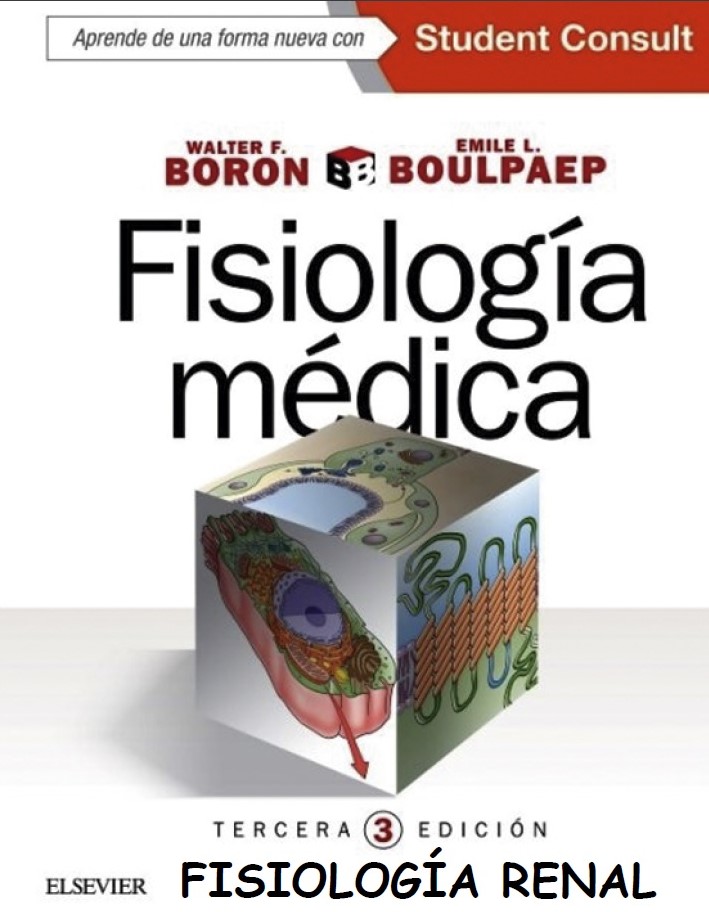 Boron 3.ª Ed Renal