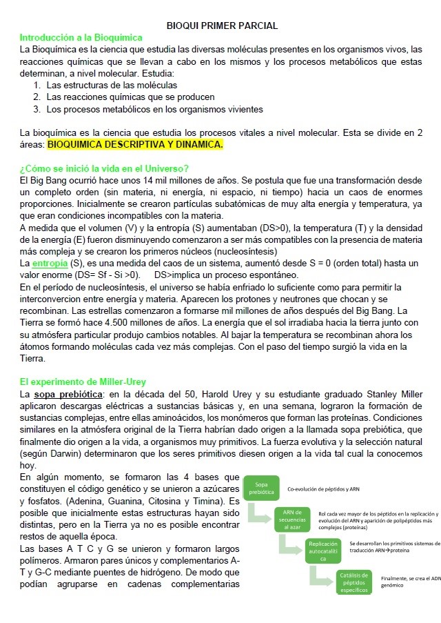 Cat 2 Transcriptos Parciales