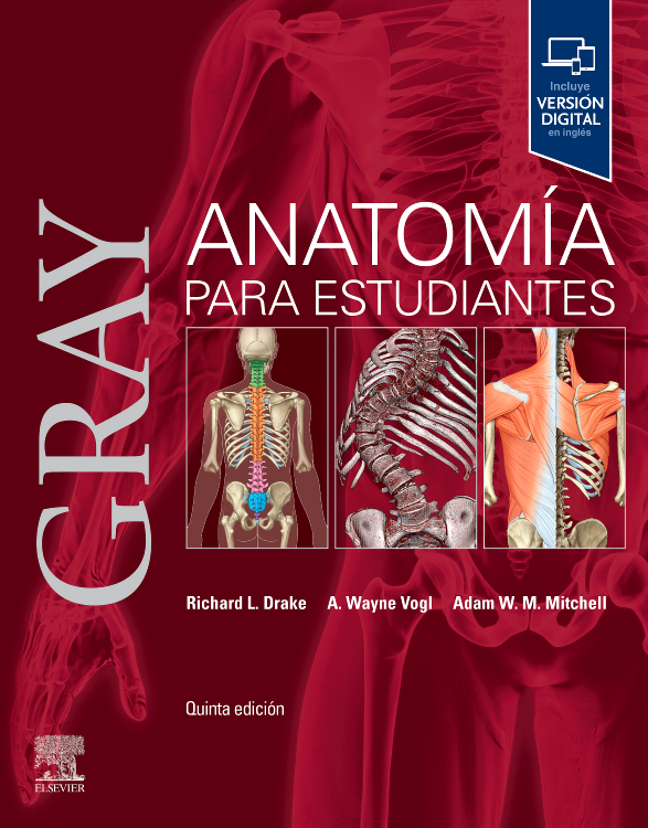 Gray Estudiantes 5.ª Ed