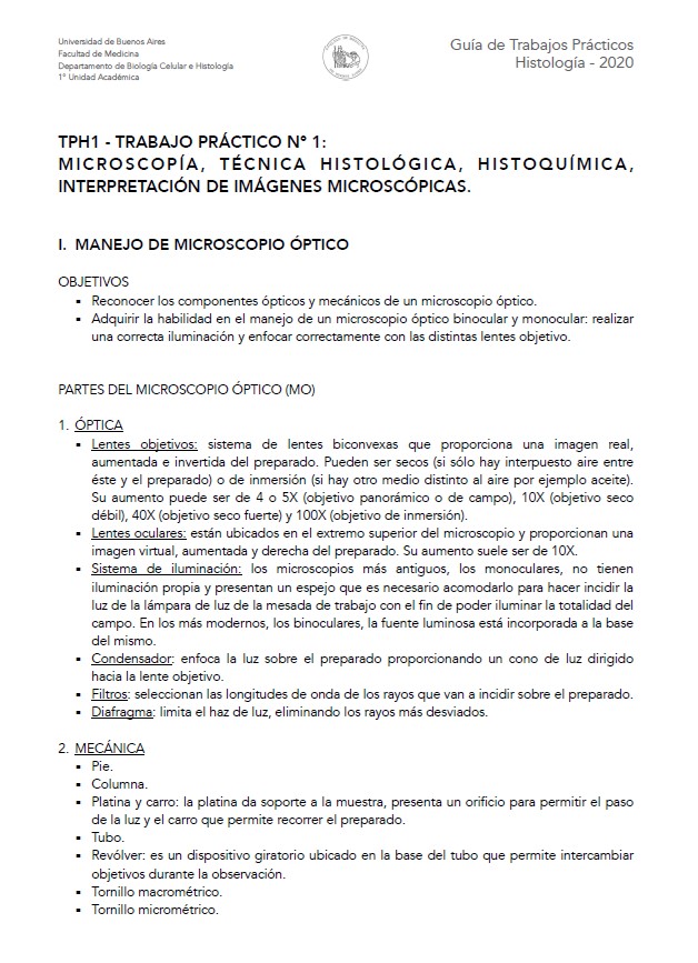Guías de TP Cát. Única 2025