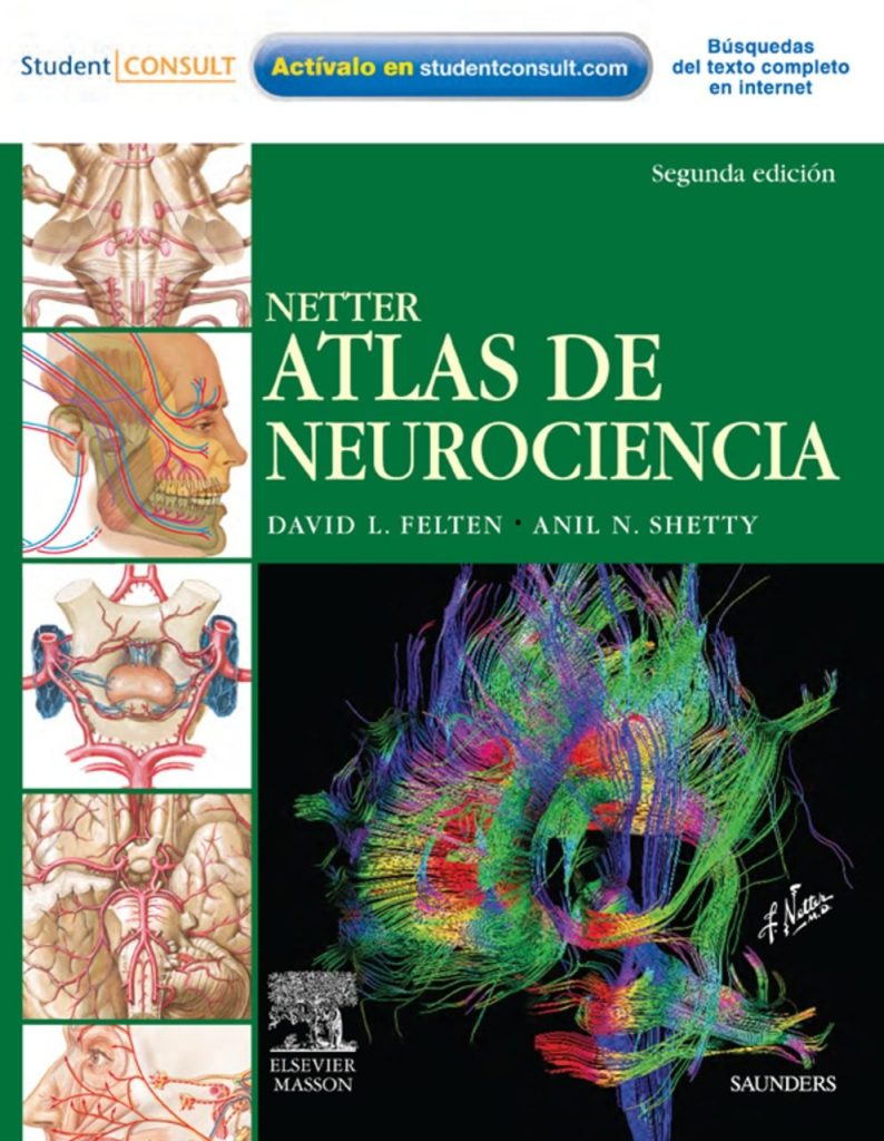 Netter Neurociencia 2.ª Ed