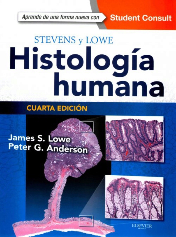 Stevens y Lowe 4.ª Ed