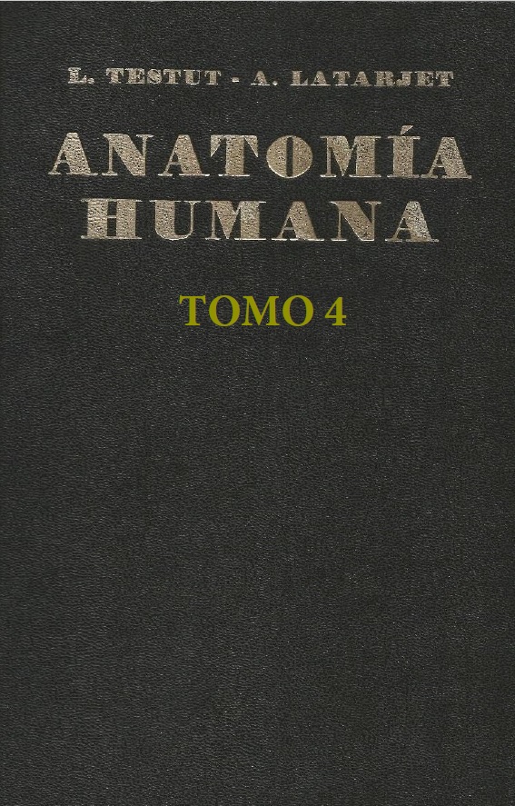 Testut 9.ª Ed T4